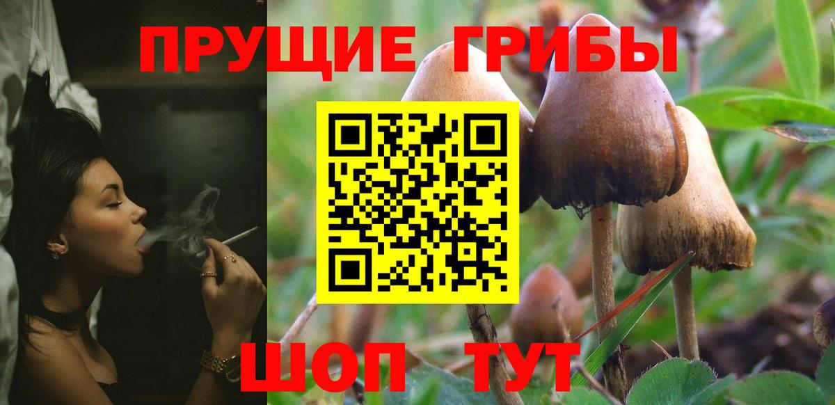 Галлюциногенные грибы Cubensis  Вход с VPN  Отрадный 